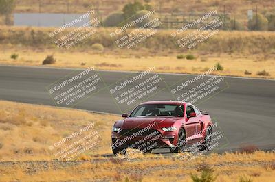 media/Dec-14-2024-Speed Ventures (Sat) [[9e1eaa7b20]]/Purple/Turn 2/